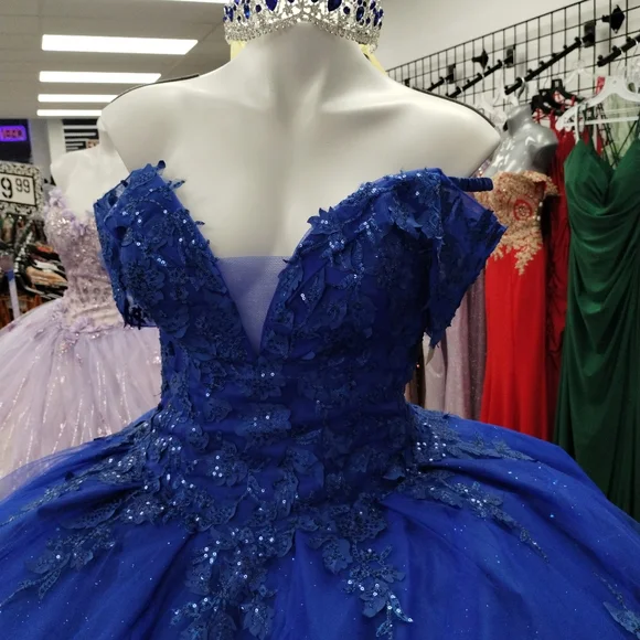 Elegant New Quinceañera Dress - Picture 7 of 11